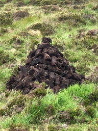 A common sight--piles of freshly cut peat, drying in the fields.