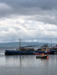 Fishing boats in Moville.